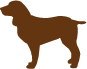 Brown Dog Hosiery